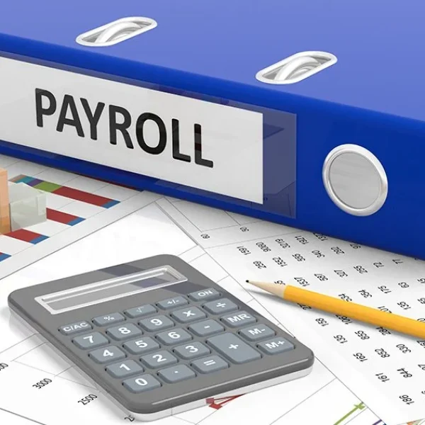 how-payroll-systems-work